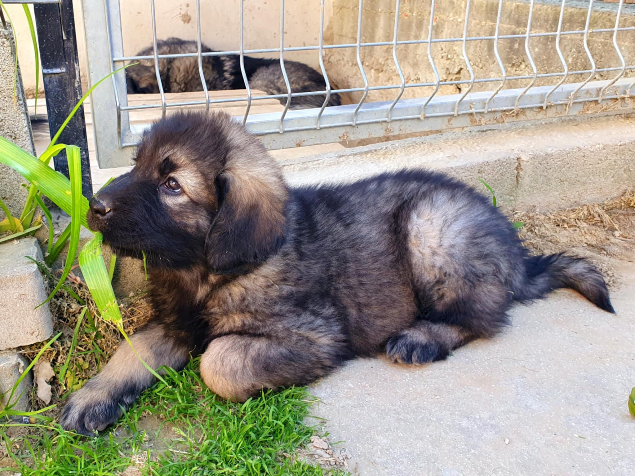 2083b4bb-859e-44d8-86fd-7a61887c0913