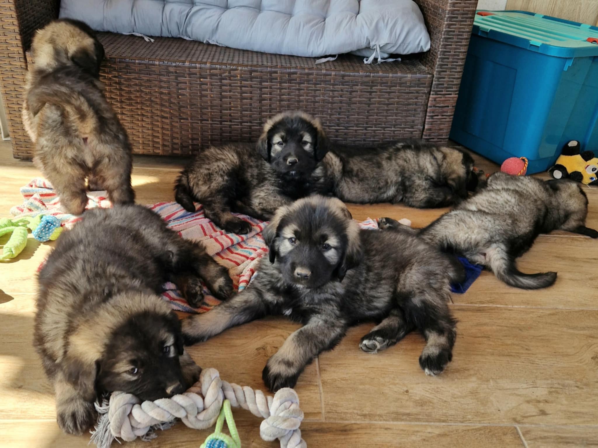 f4561aee-eb55-4f74-9dce-557433e86968